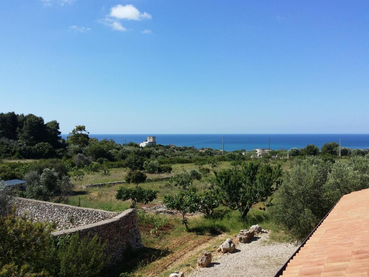 Antica Masseria Ficazzana - Tenuta Marina Di Pescoluse Exteriér fotografie